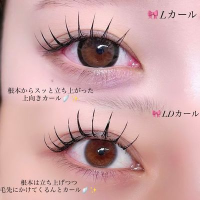 【影にならない🪽‪✨️】フラットマットラッシュ L/LDカール◇140本🎀