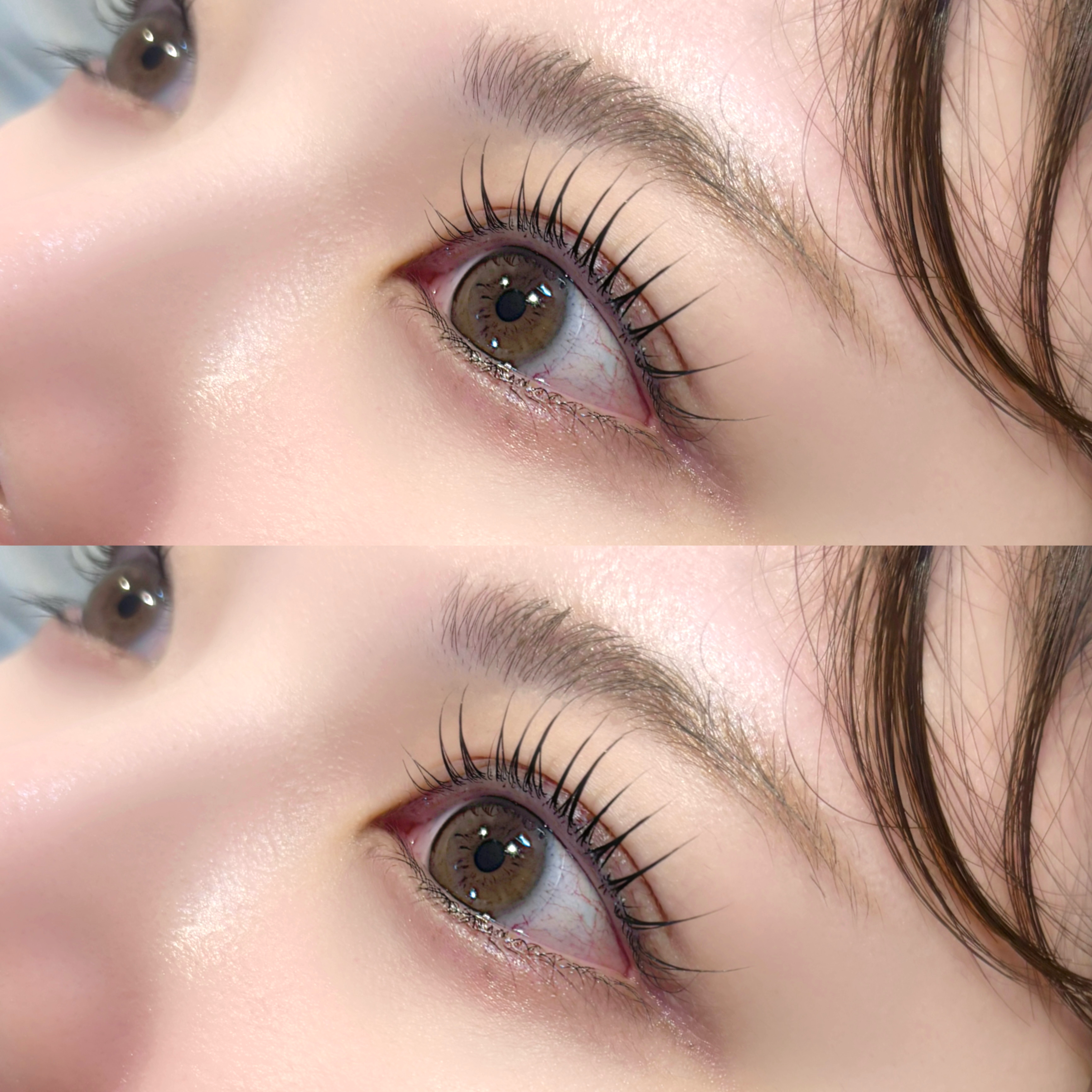 hmr__eyelash