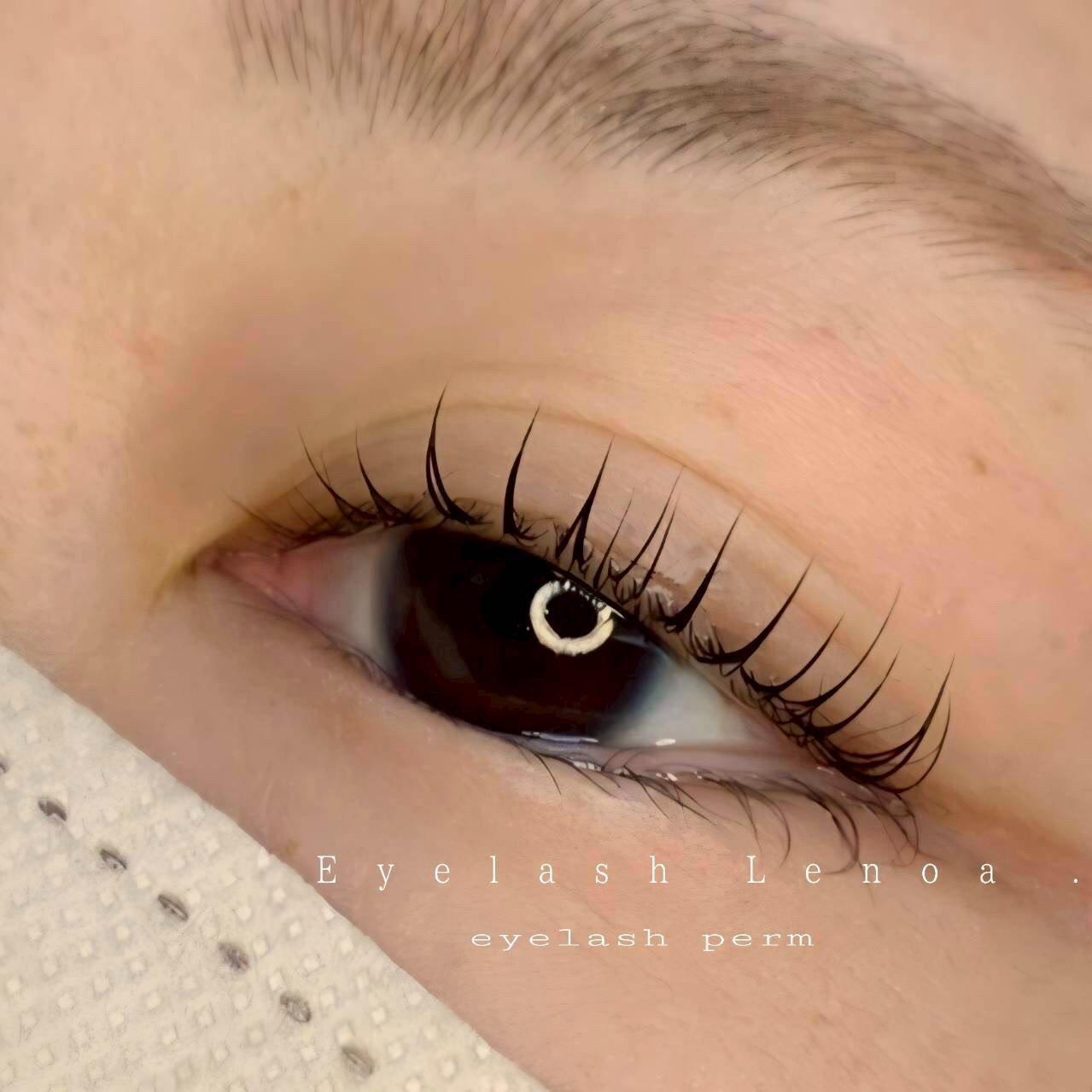 lenoa_eyelash