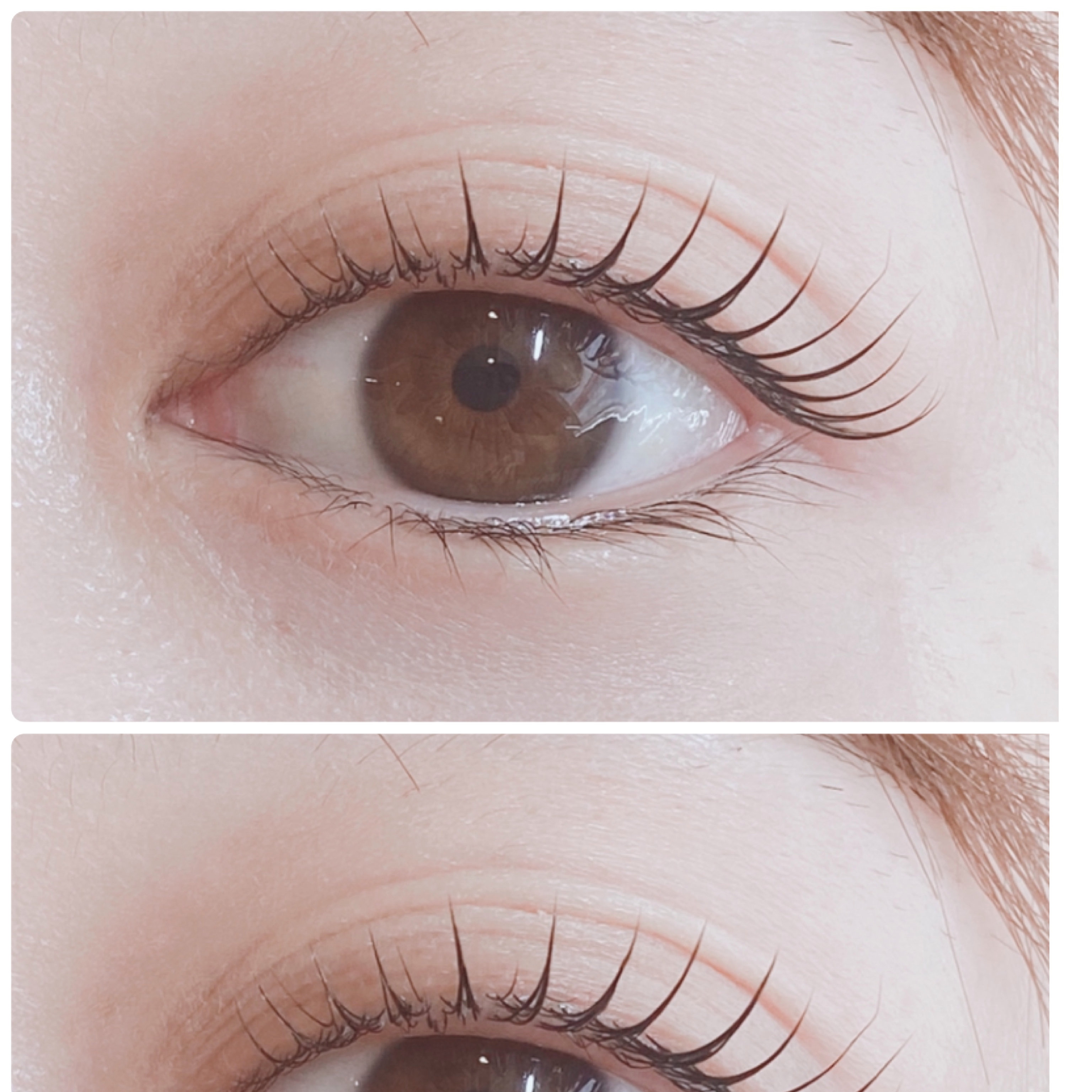 eyelash.ayumi