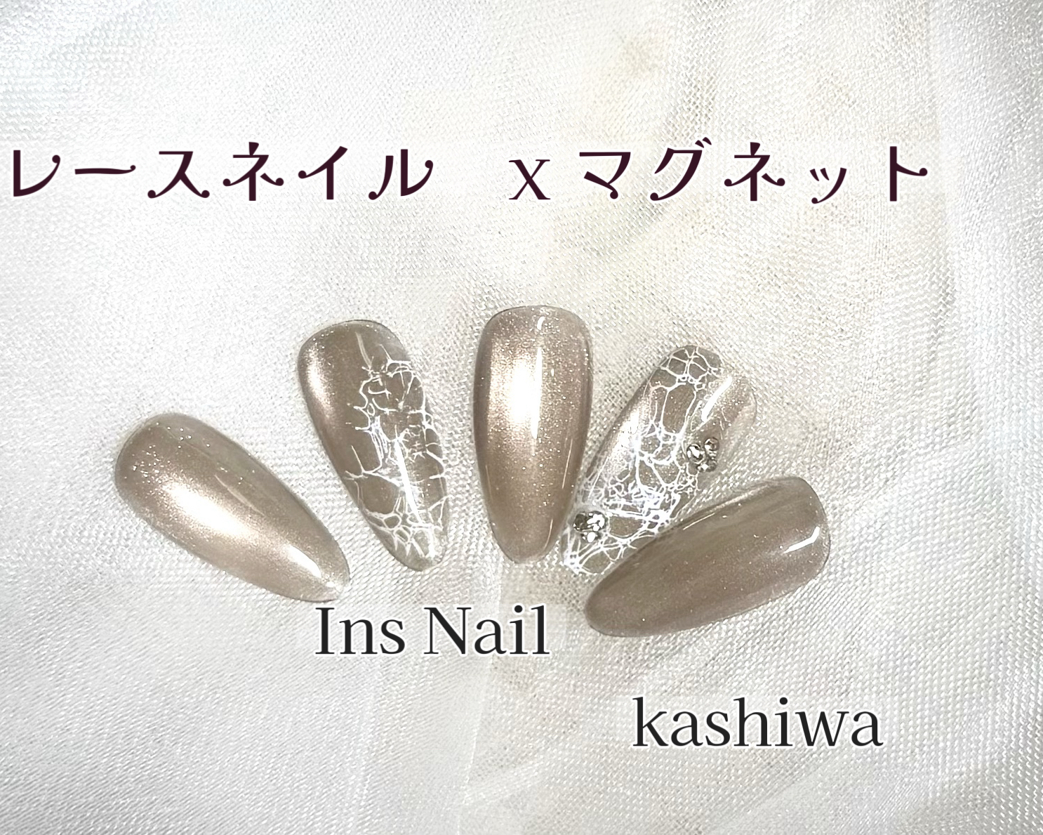 INSNAIL