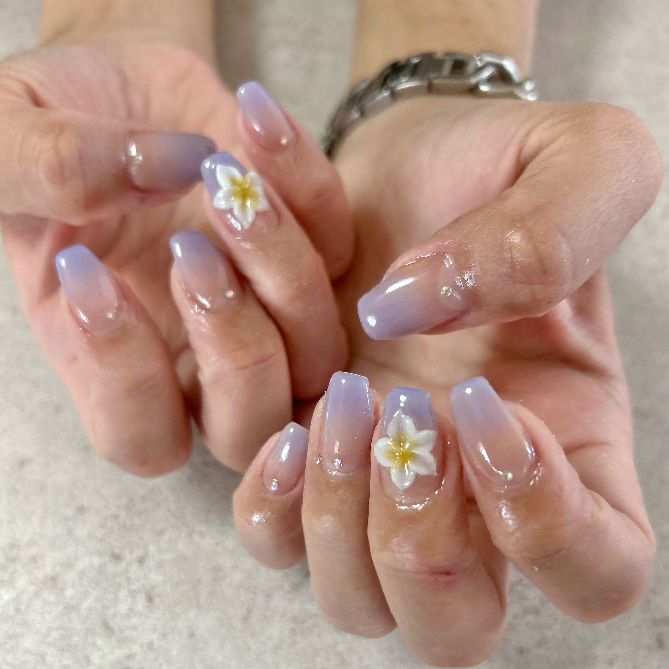 Rolissenail