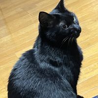 misuz_0126