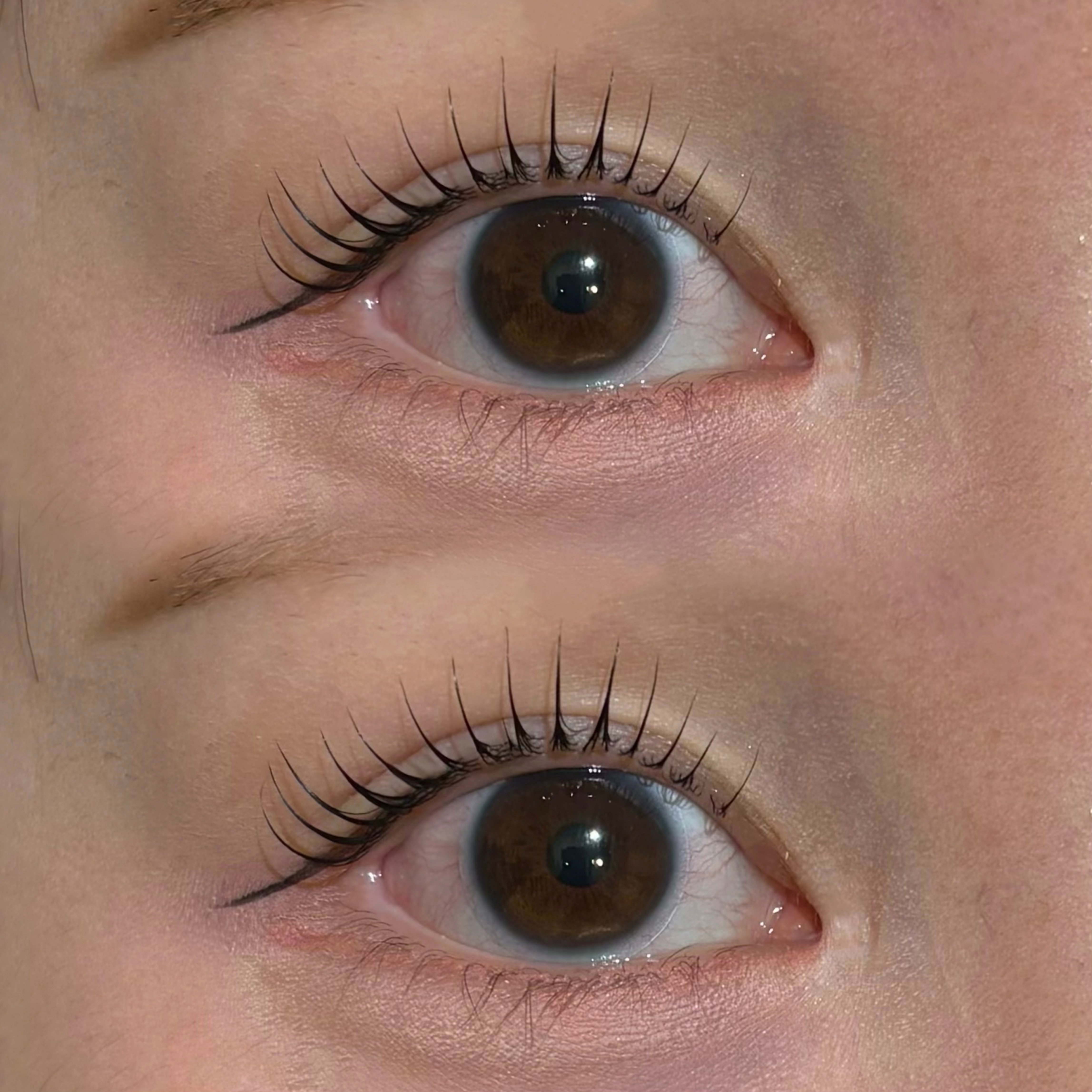 eyelash.suzuna