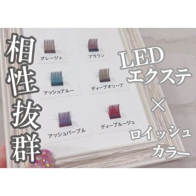 【付け替え】LED✖️ロイッシュカラー140本
¥12,150→¥10100