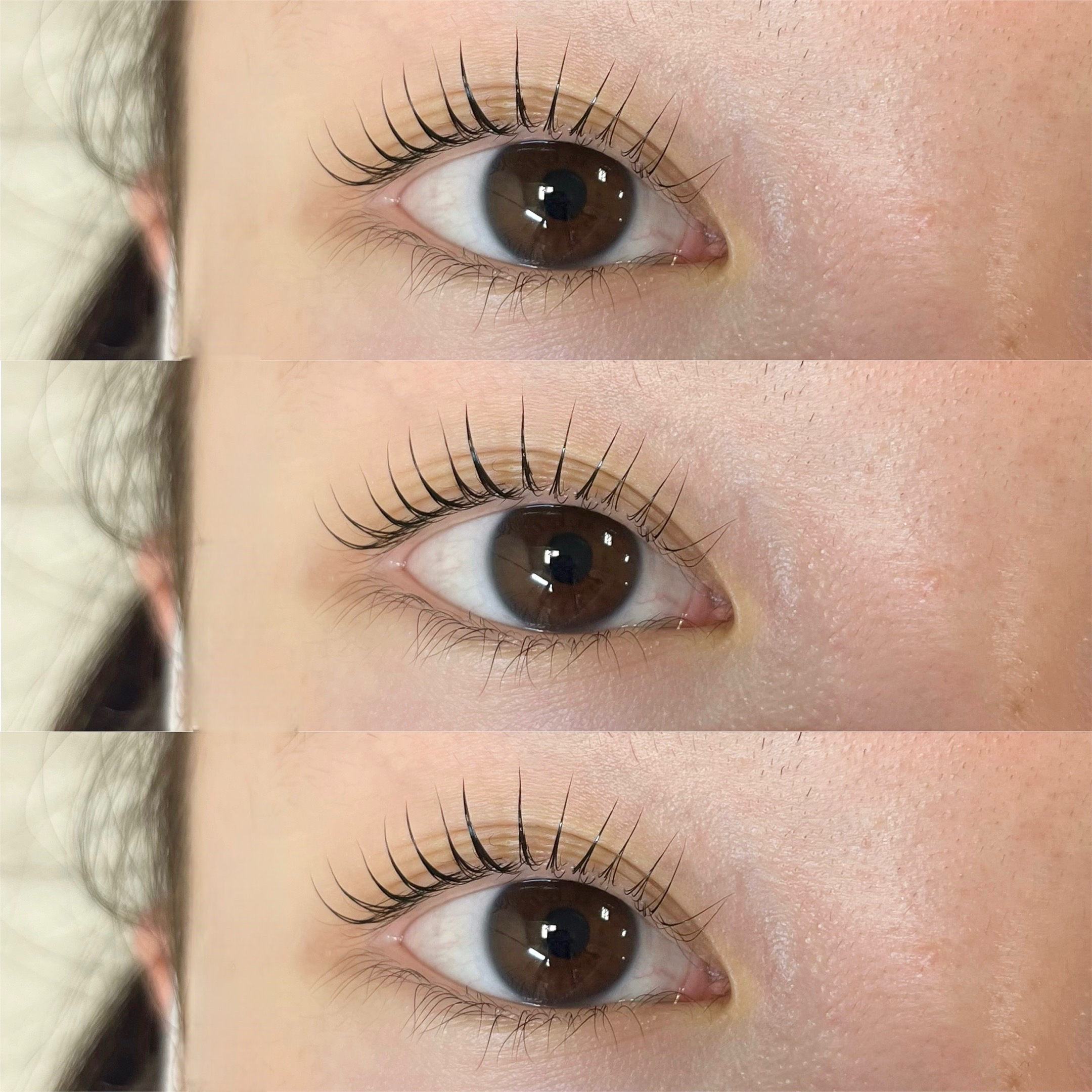 himawari_trueye