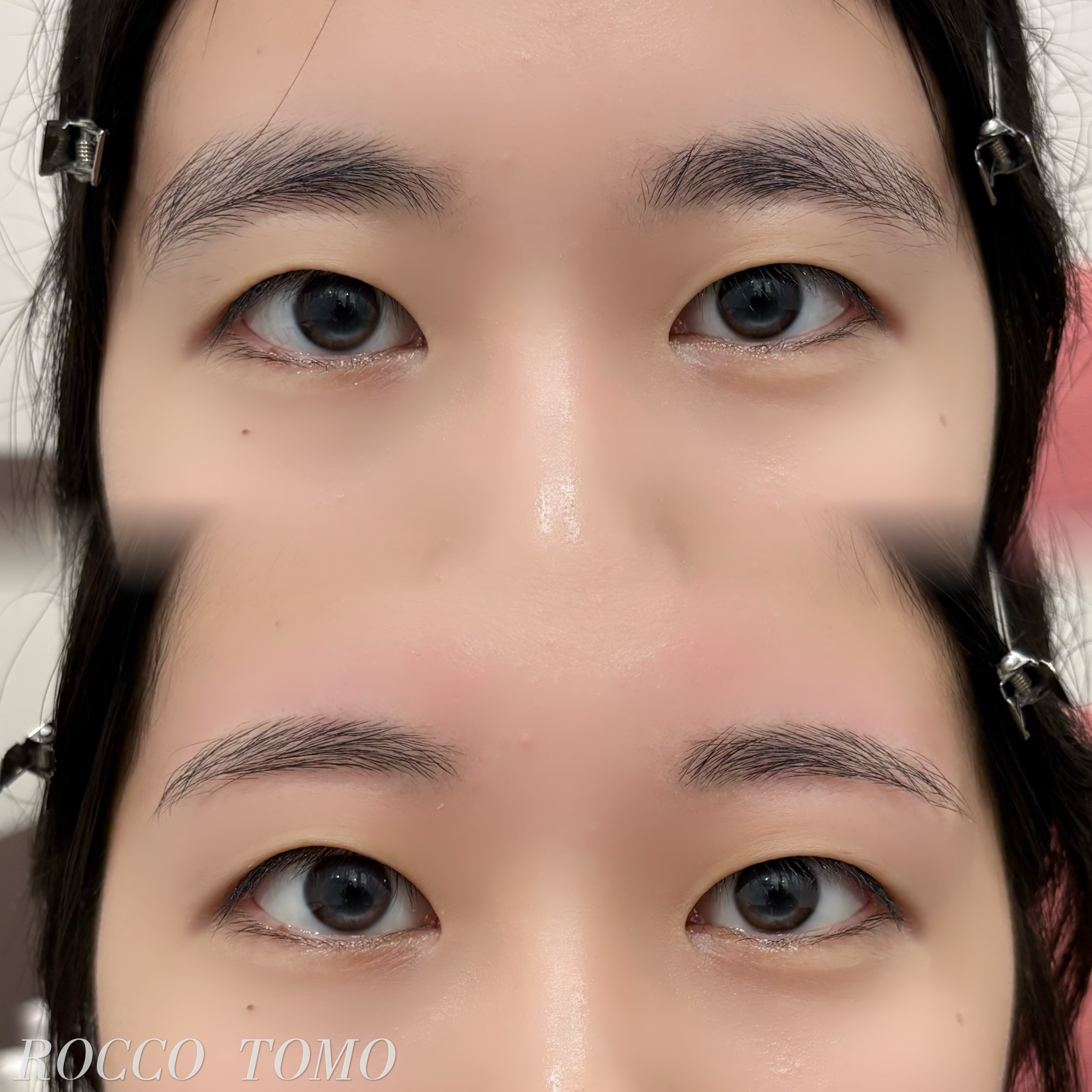 ROCCO_tomo.