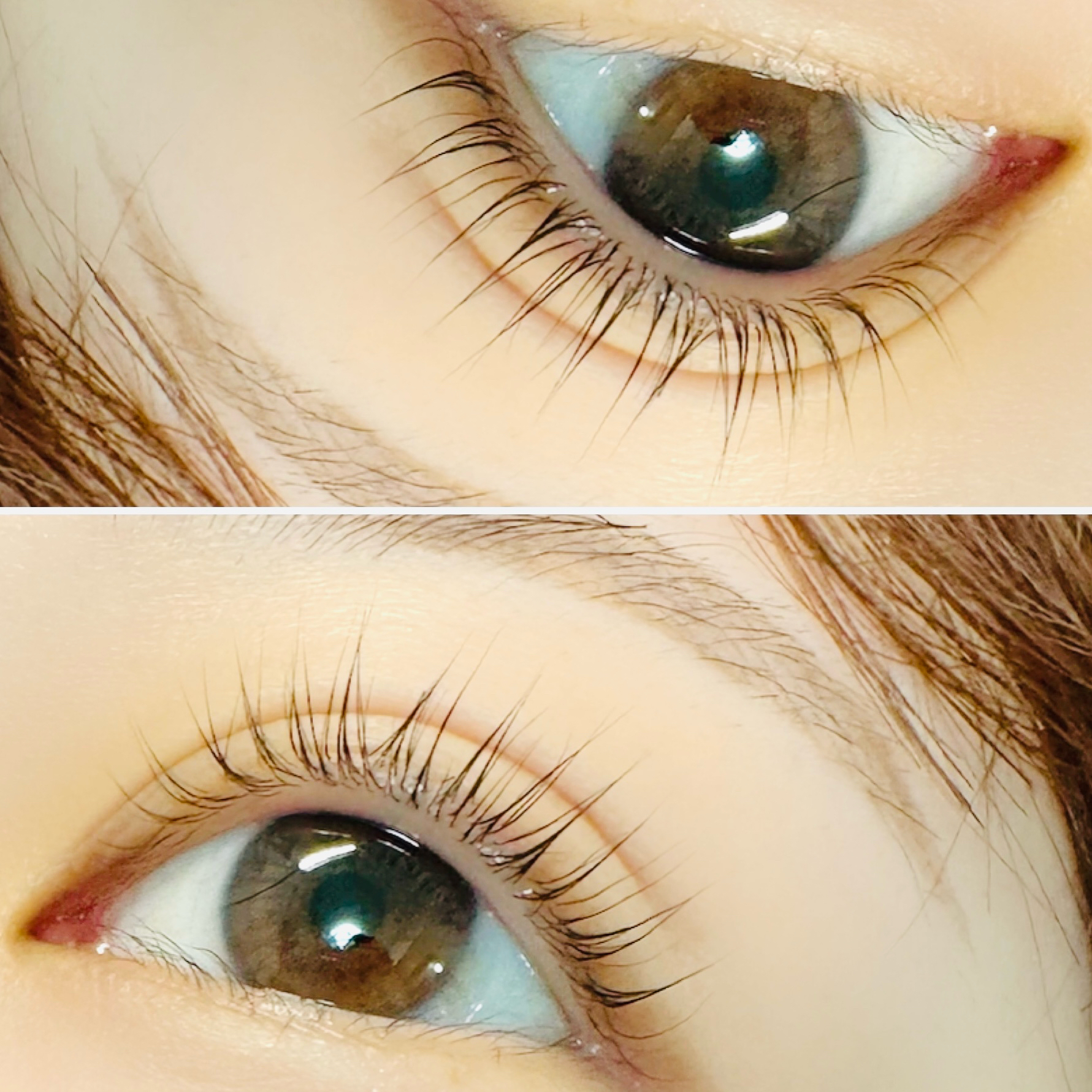 hisami.