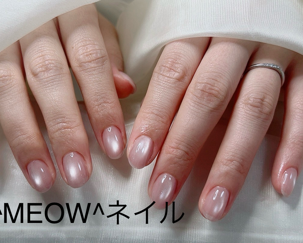 MEOW_salon