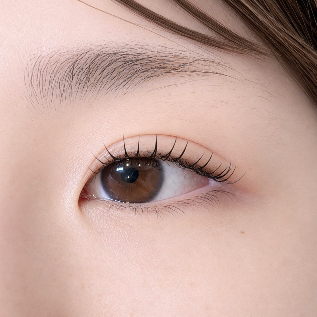 sayaka_trueye
