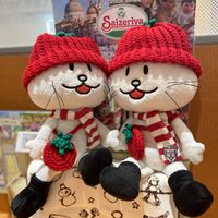 wakashiink722