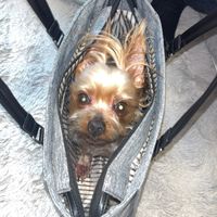hide.toyo
