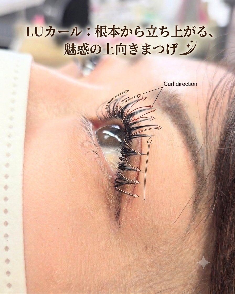 eye_belles_ailes.kana