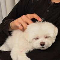 ak._zzz