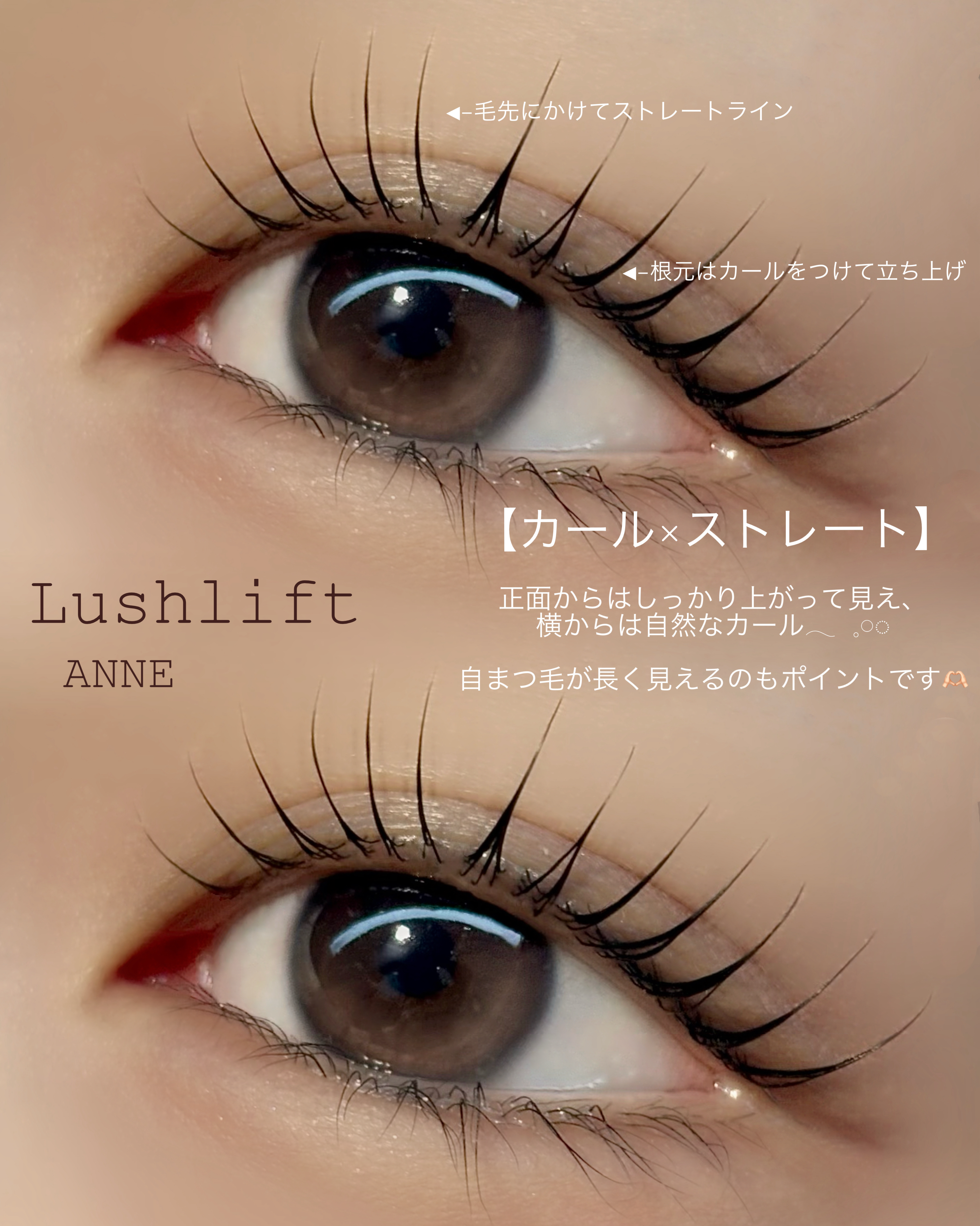 anne_chizu