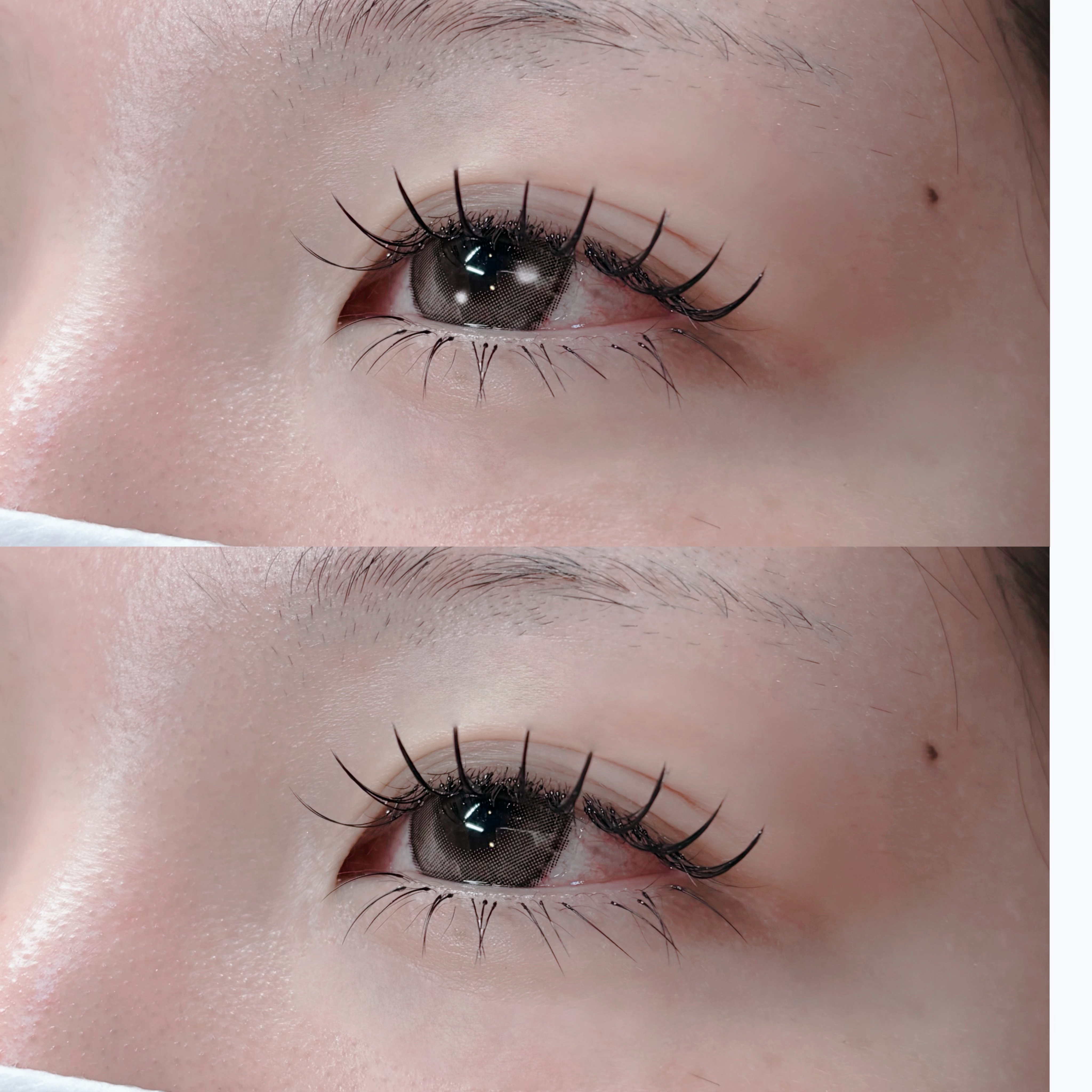 eyelash.ayumi