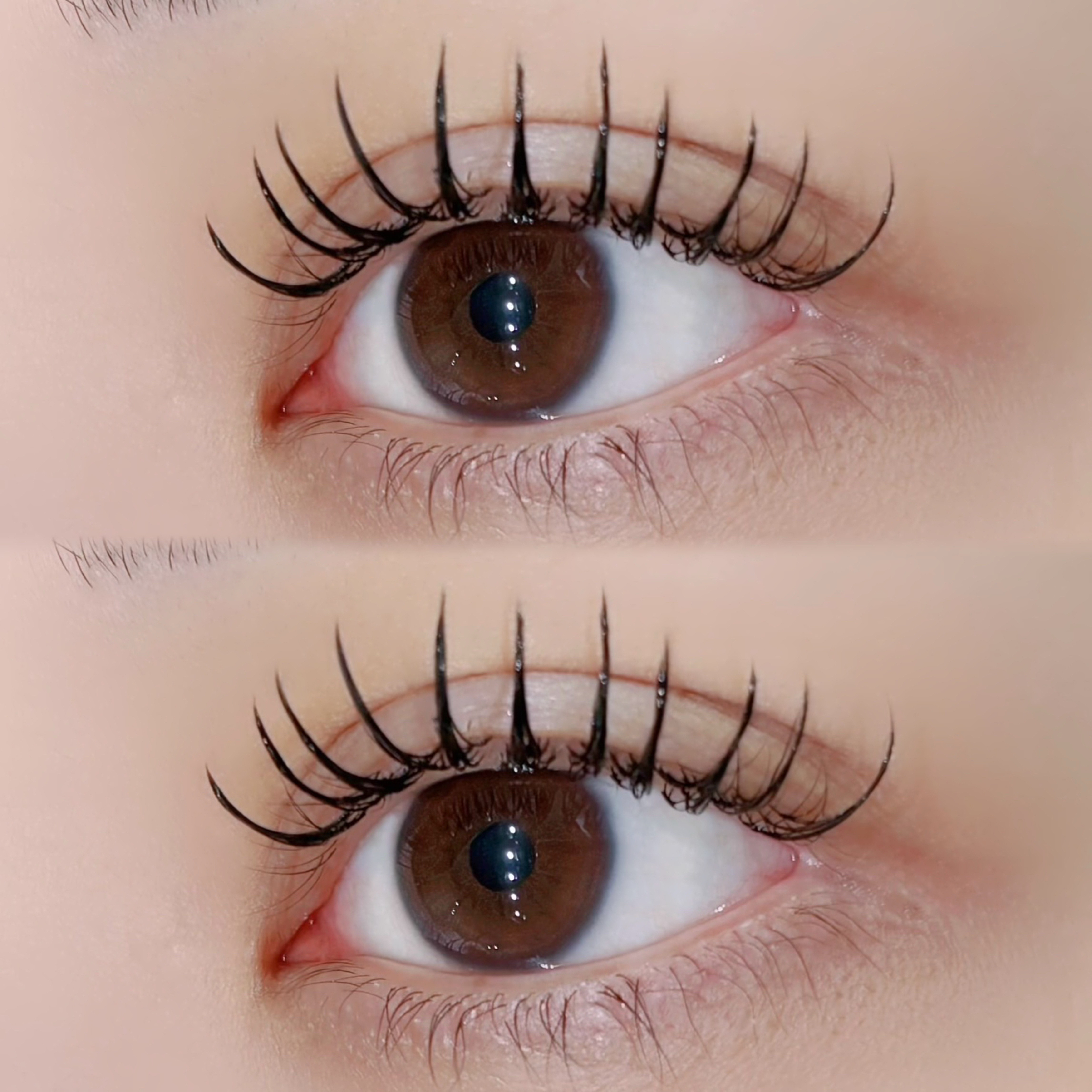 BUCKS_eye