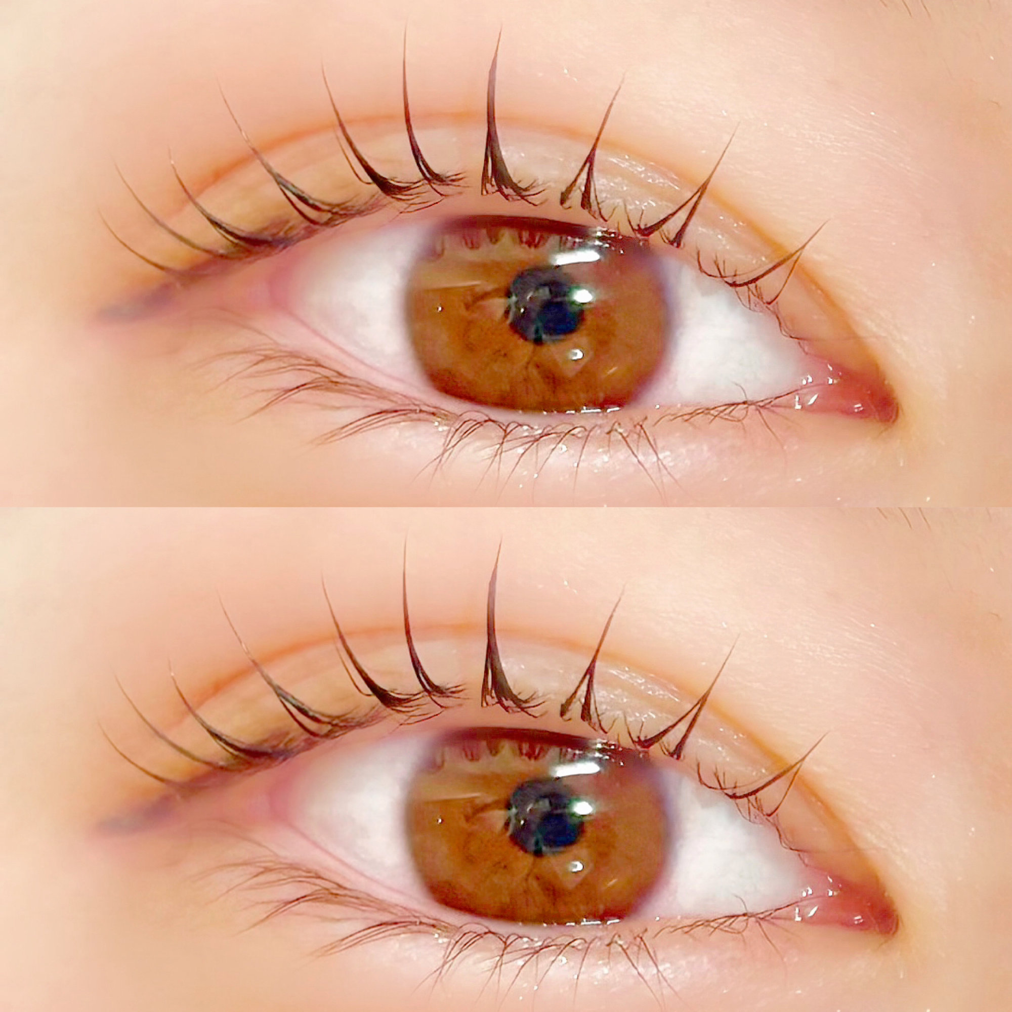 hikari_trueye