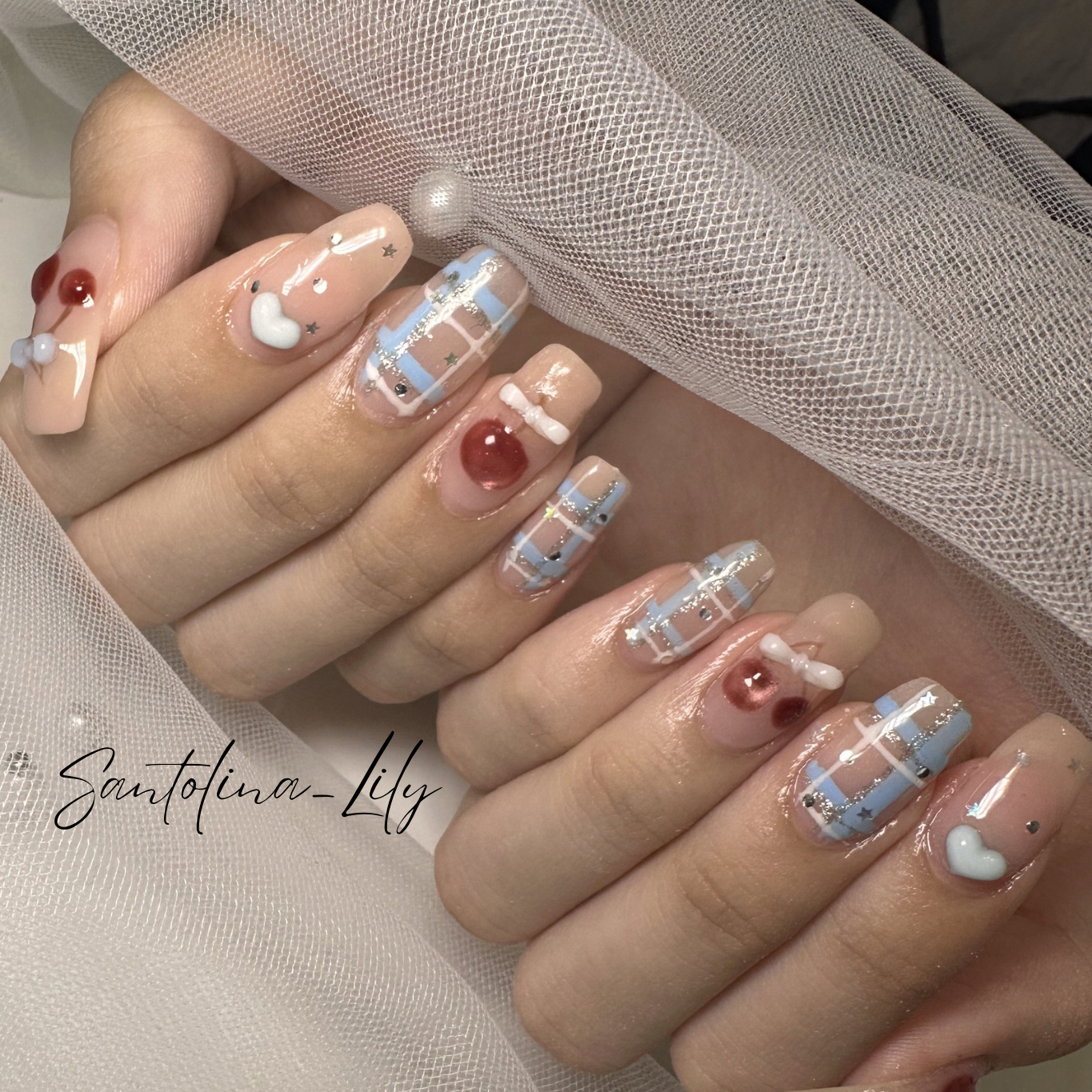 Santolina_Lily