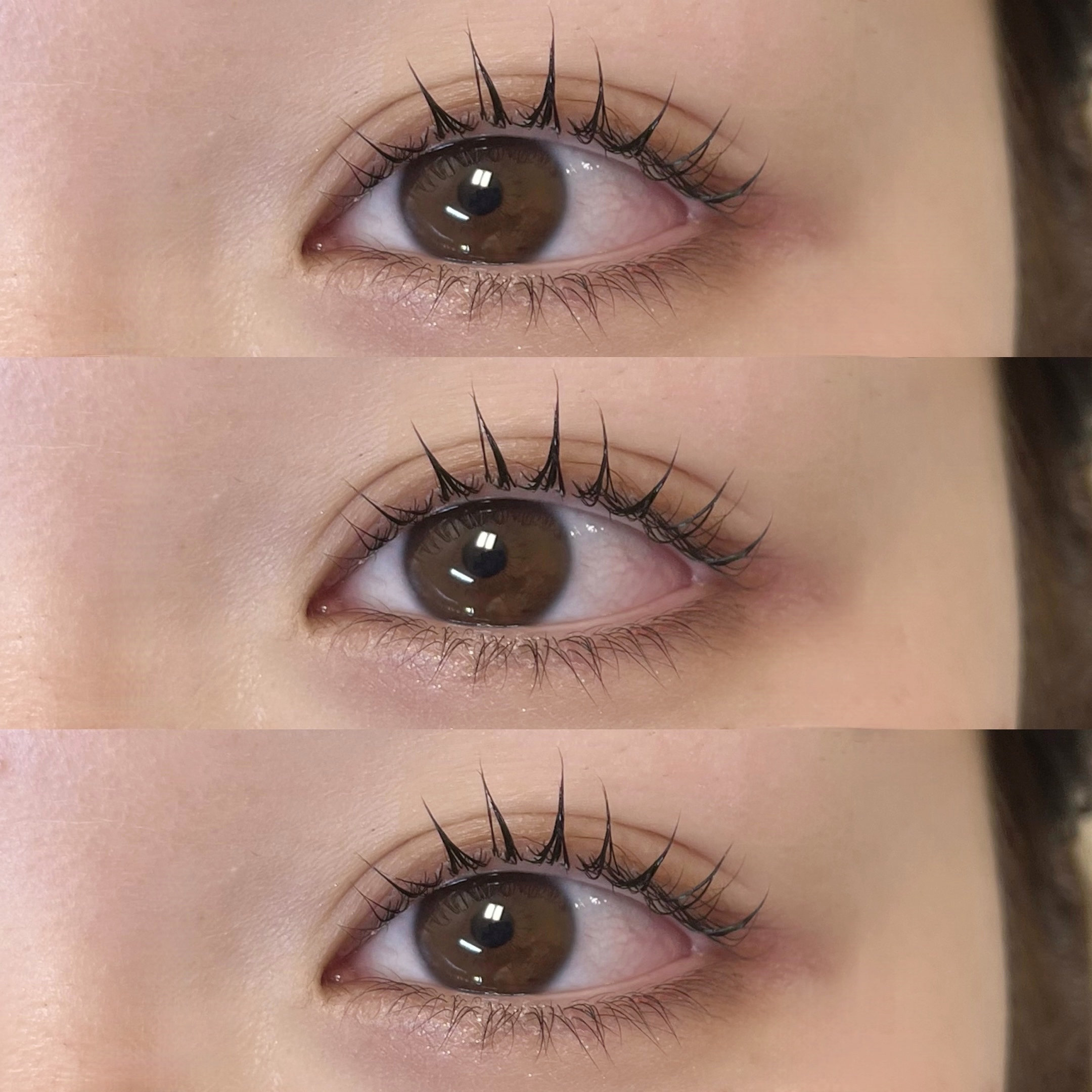 himawari_trueye