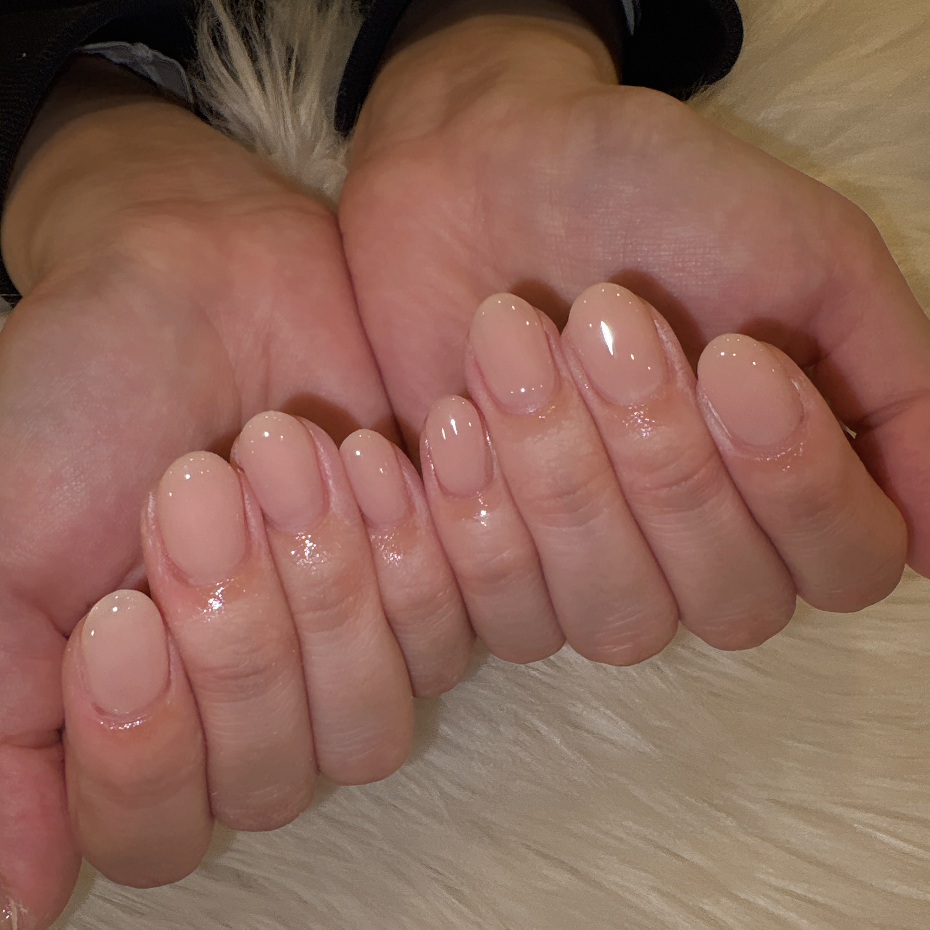 katsura_trunail
