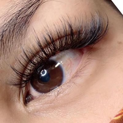 Volume Lashes