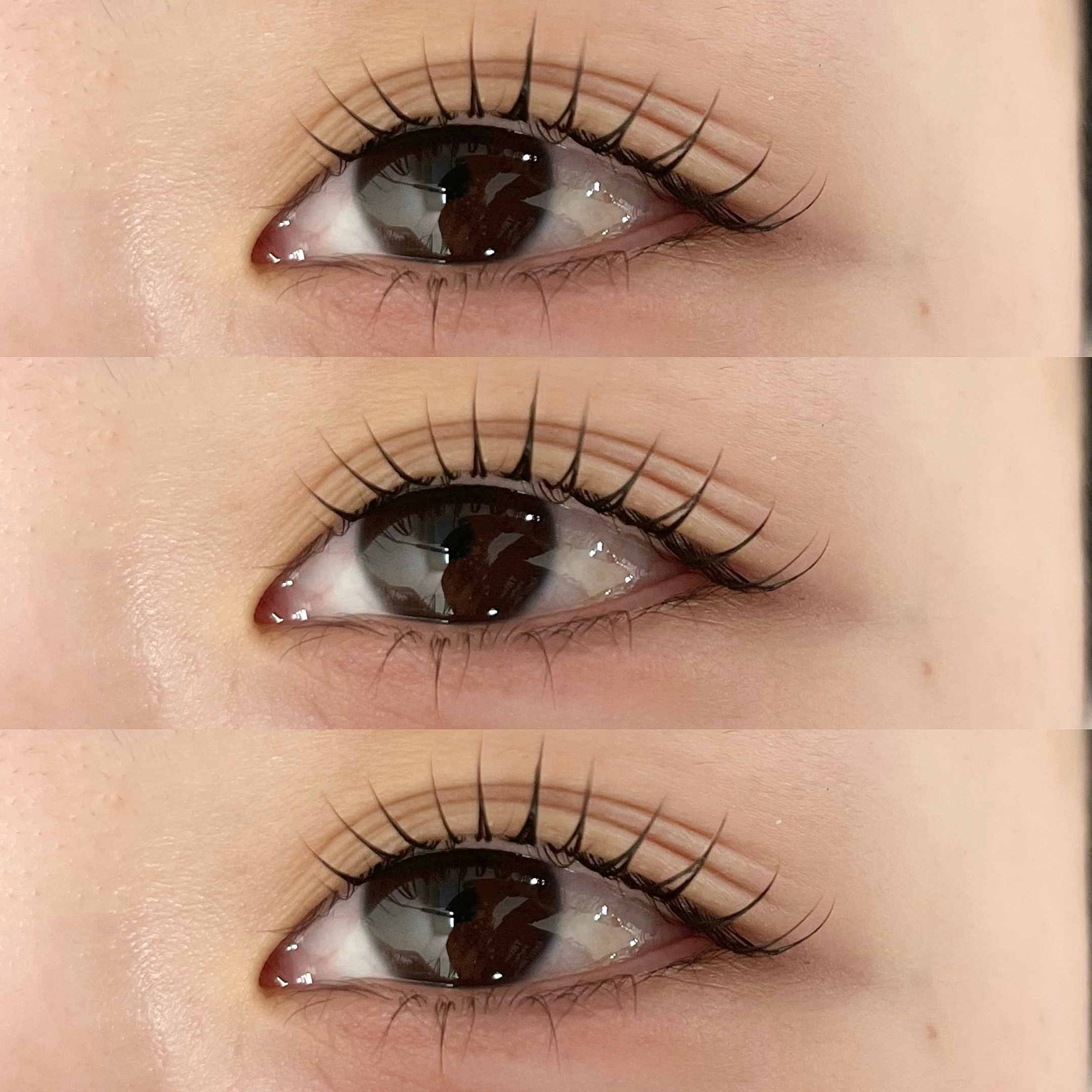 himawari_trueye