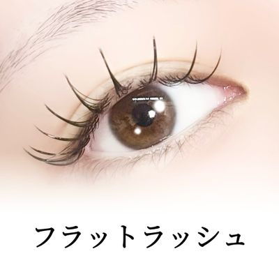 フラットラッシュ80本