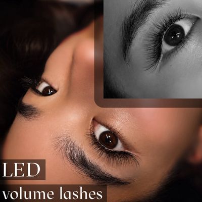 ご新規様限定｜LEDボリュームラッシュ80束 ¥6600