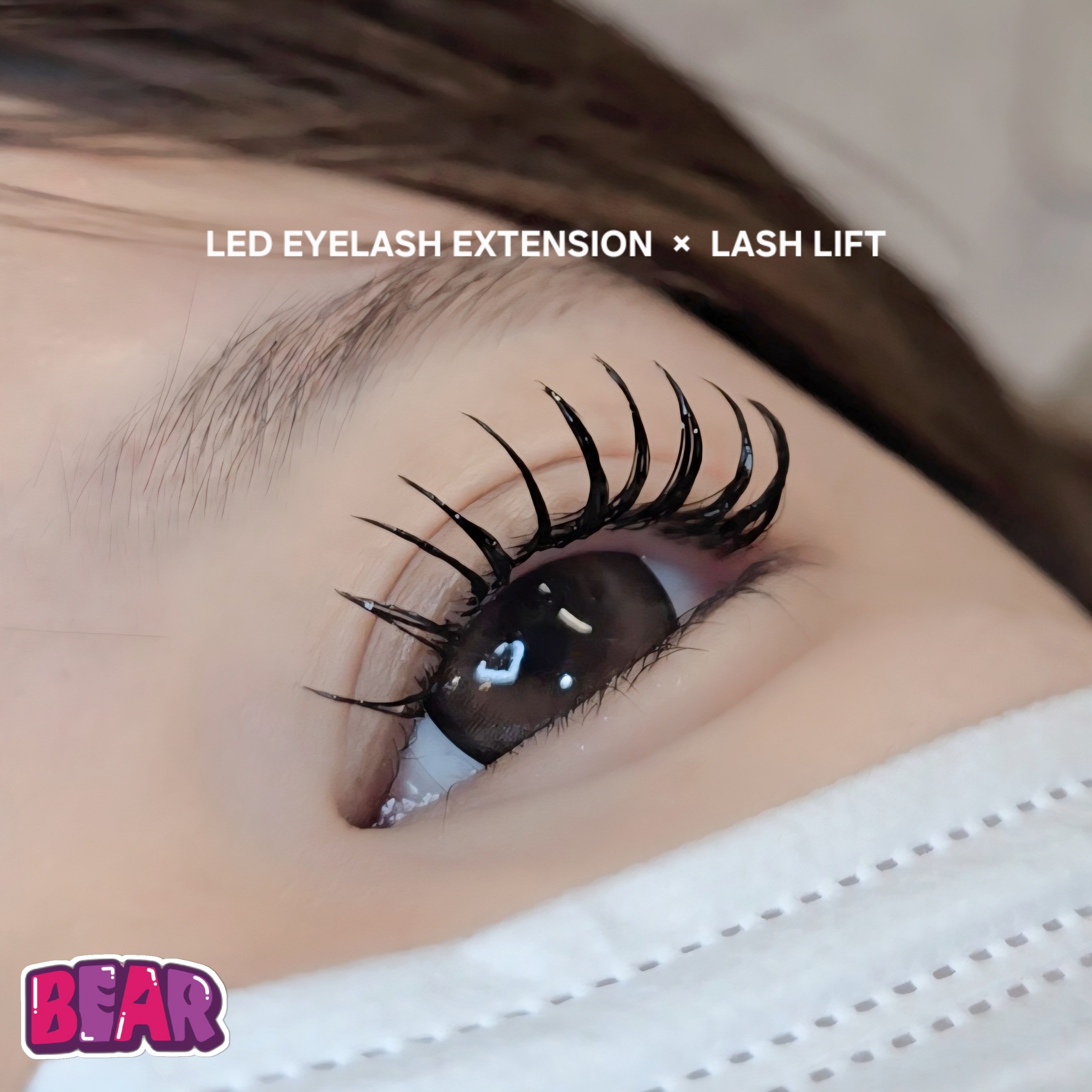 bear._.eyelash