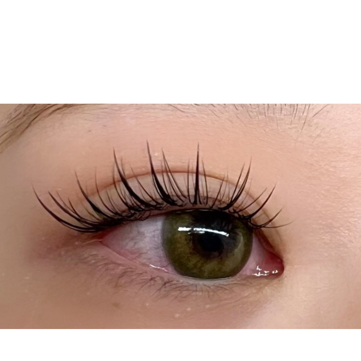FLY_EYELASH