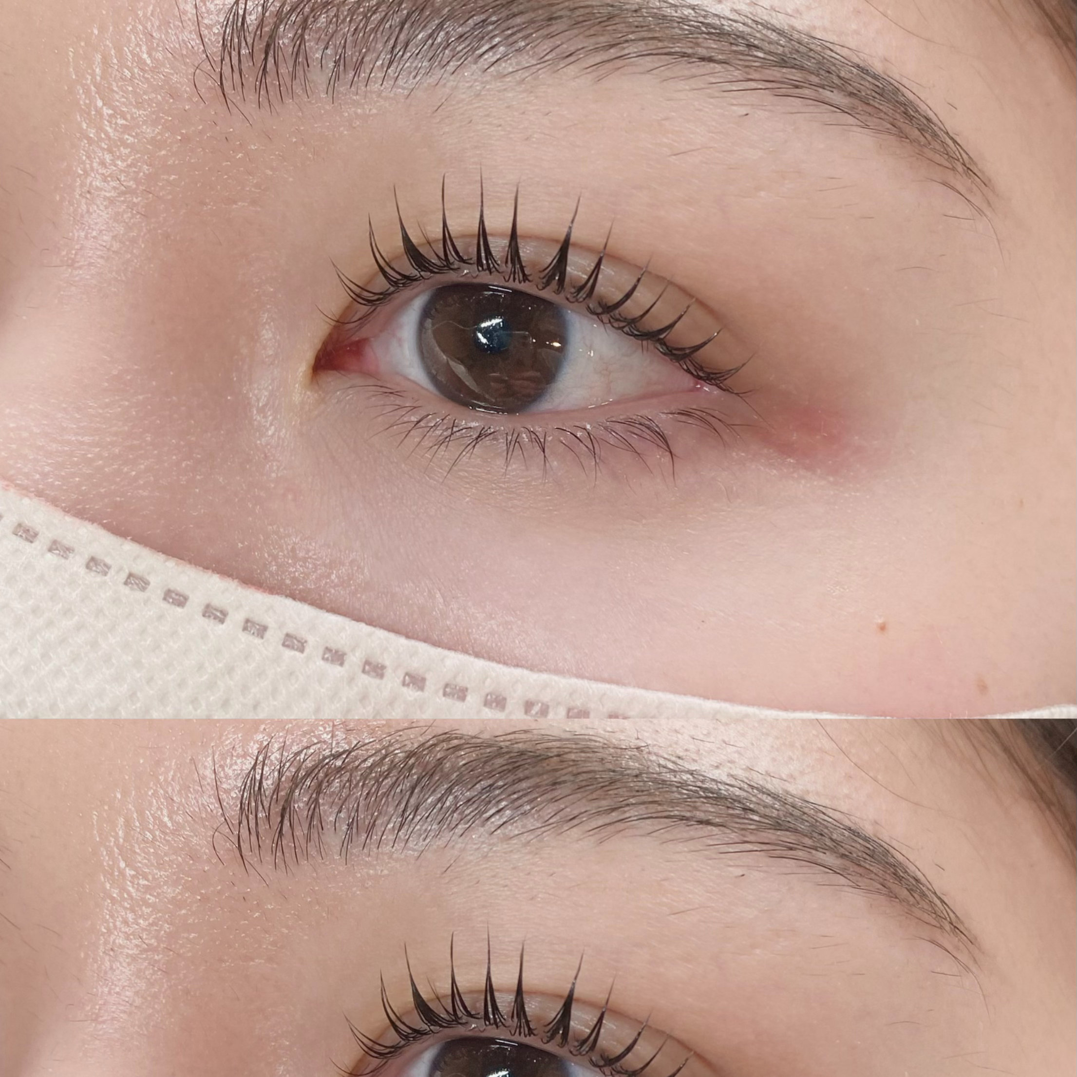 eyelash.ayumi