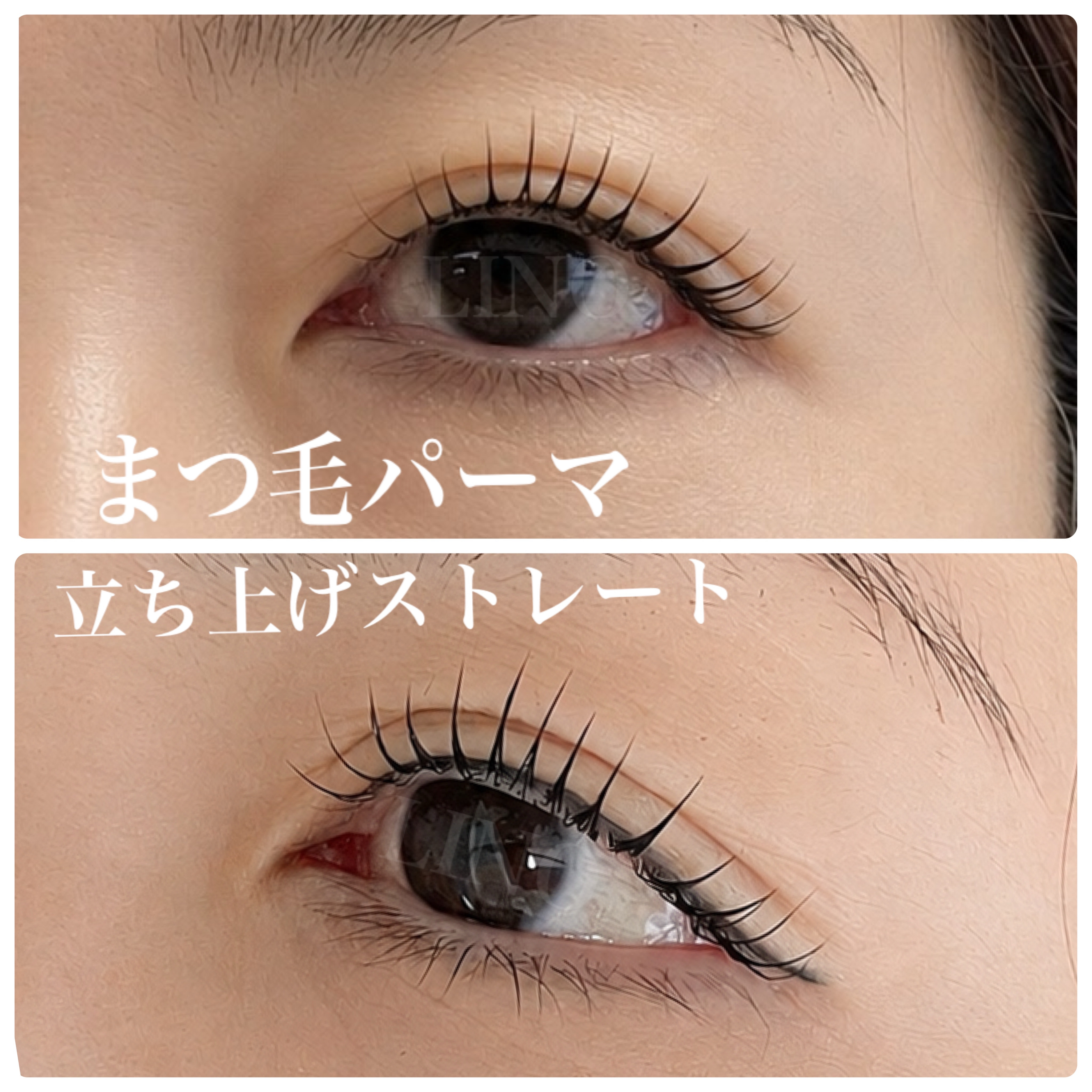 LINO_eyelash.
