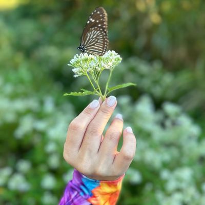 スカルプチュアオフ