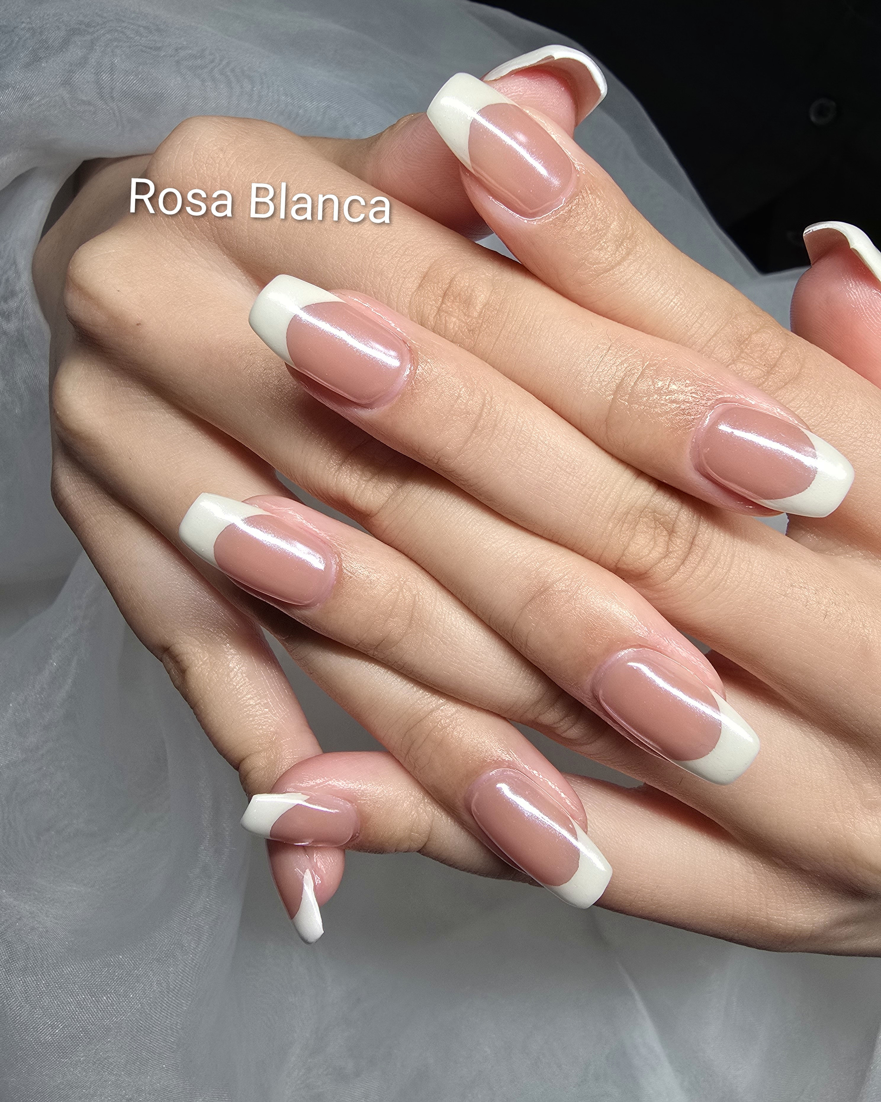 Rosa_Blanca