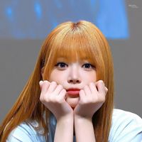 hi1113v
