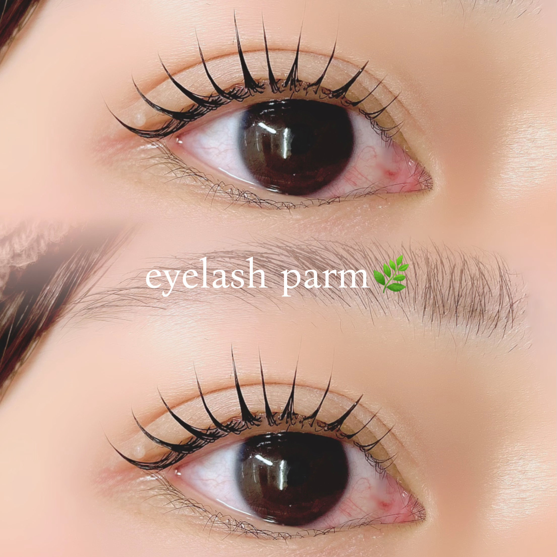 eye_rinka