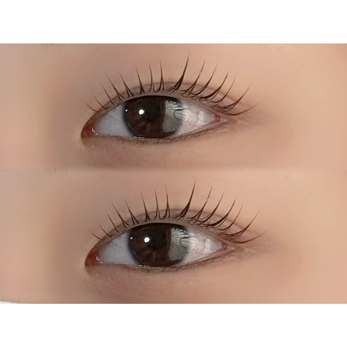 R_LASH