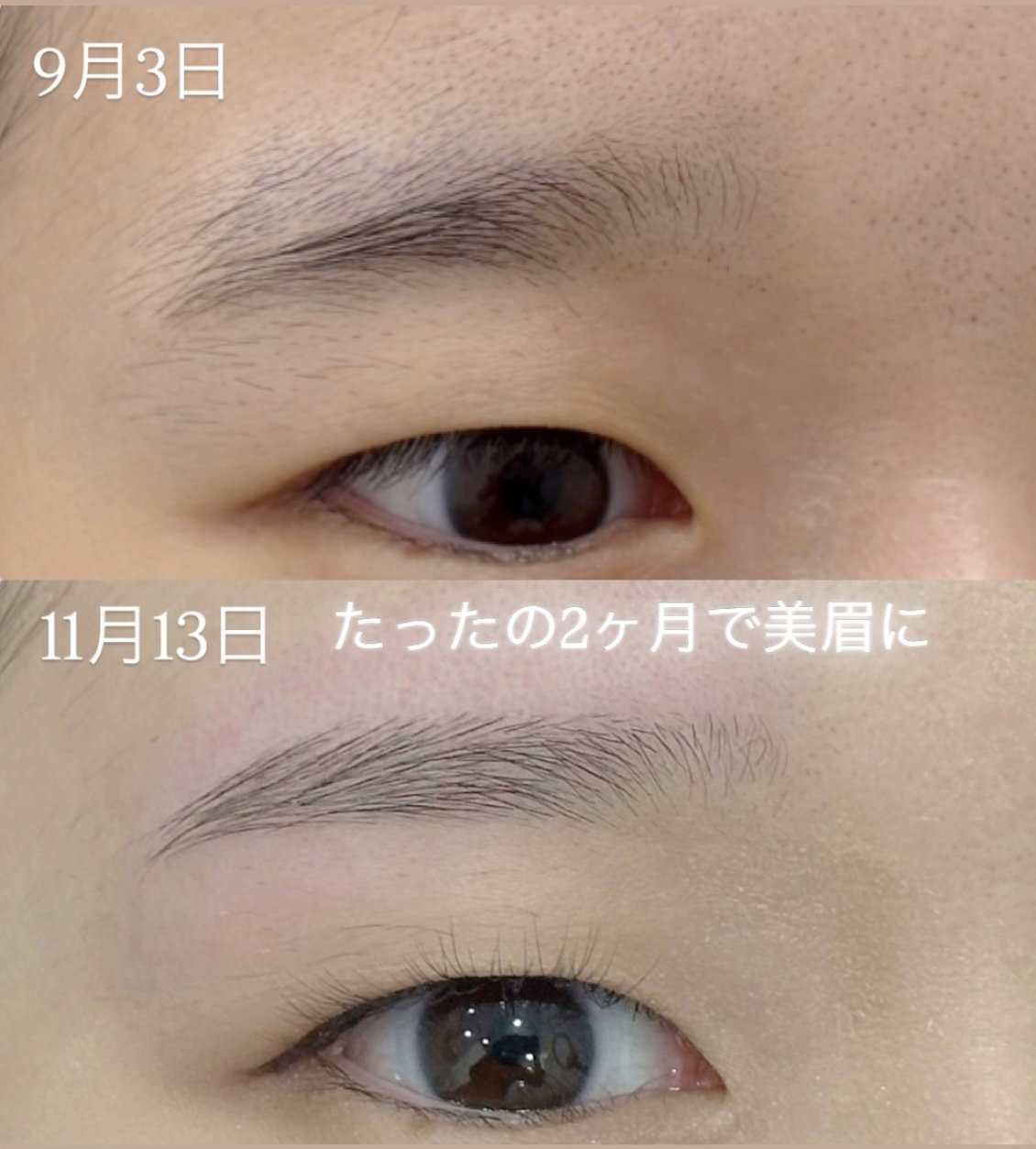 shizuka_kondo_