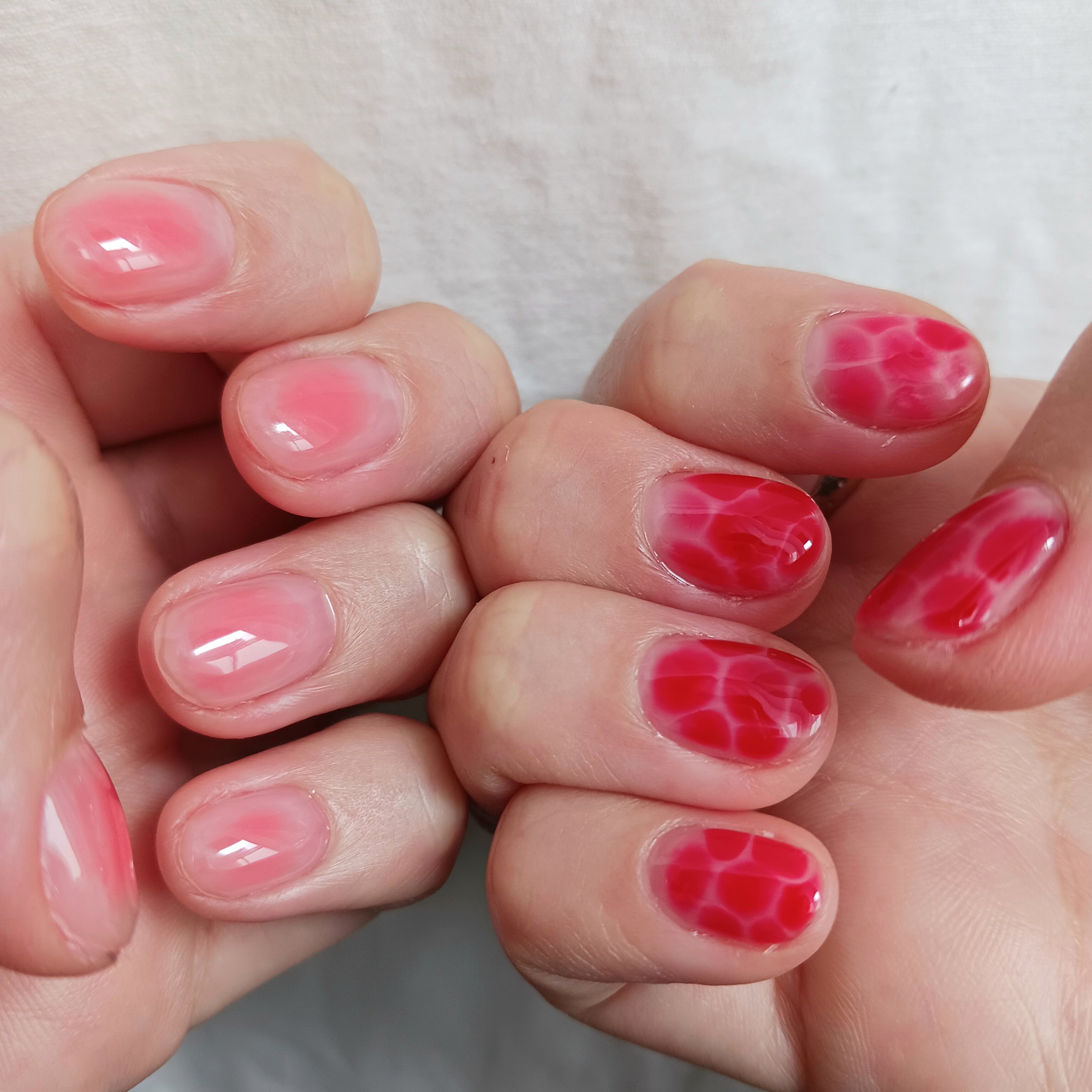 owlnail