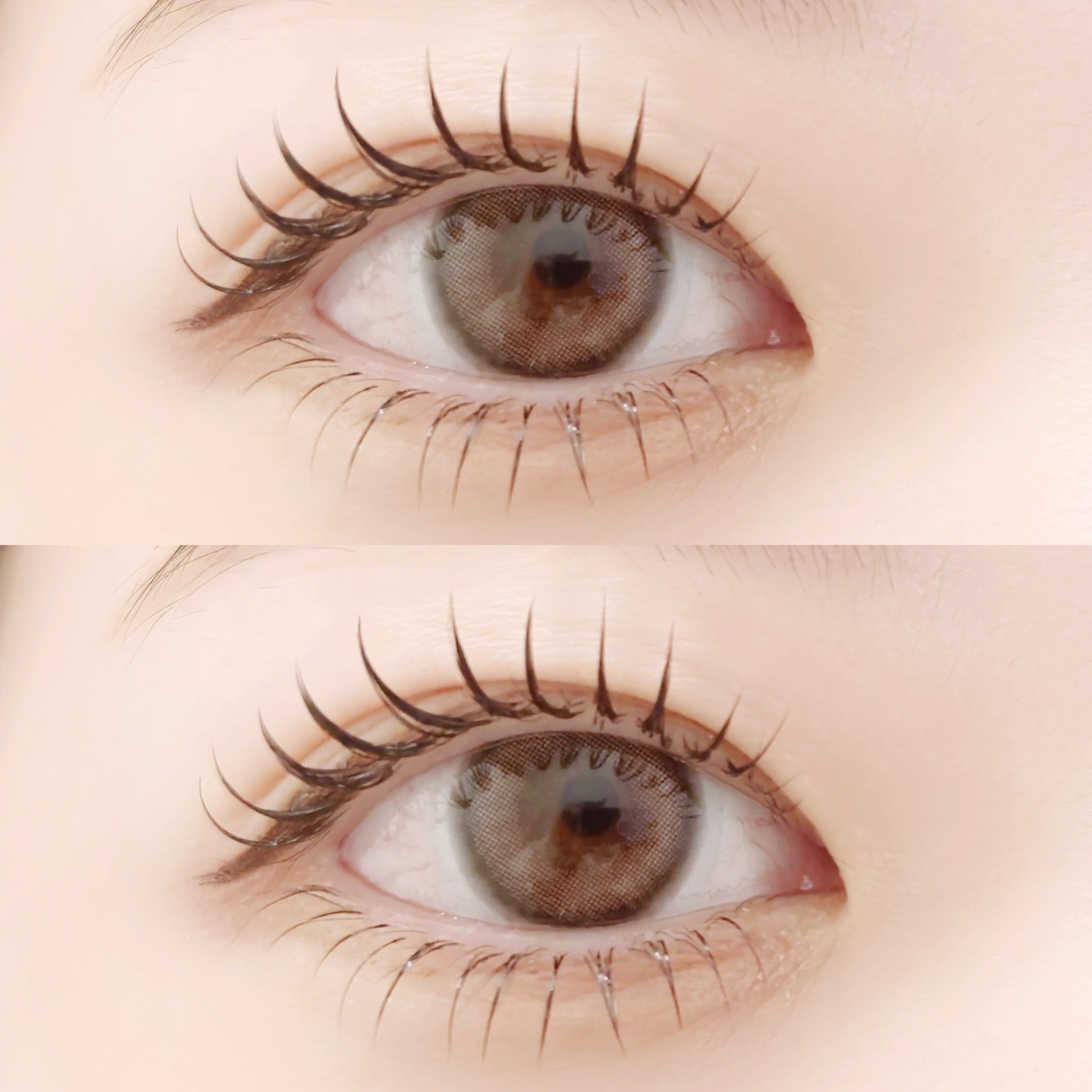 daisy_yurika
