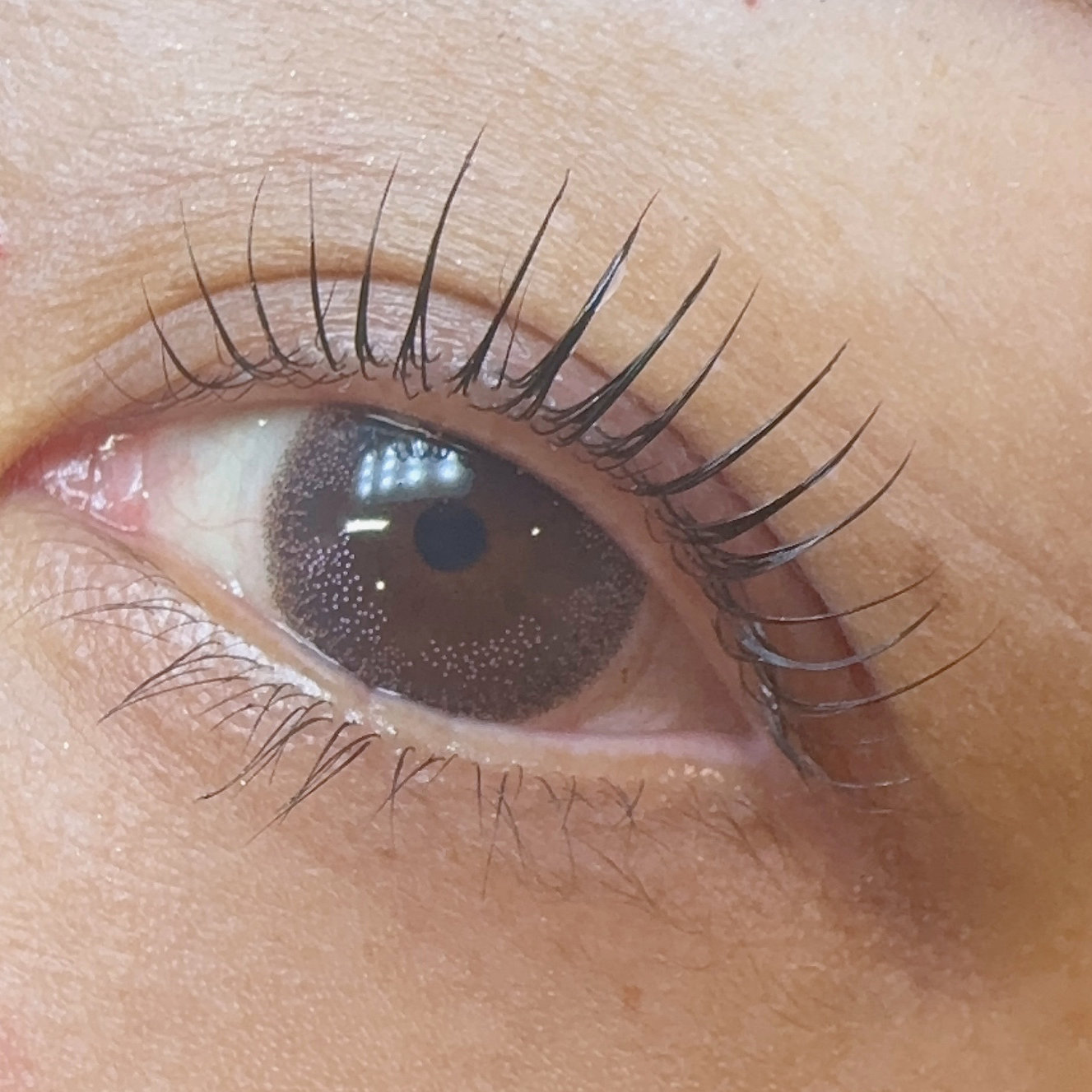 natari_.lash