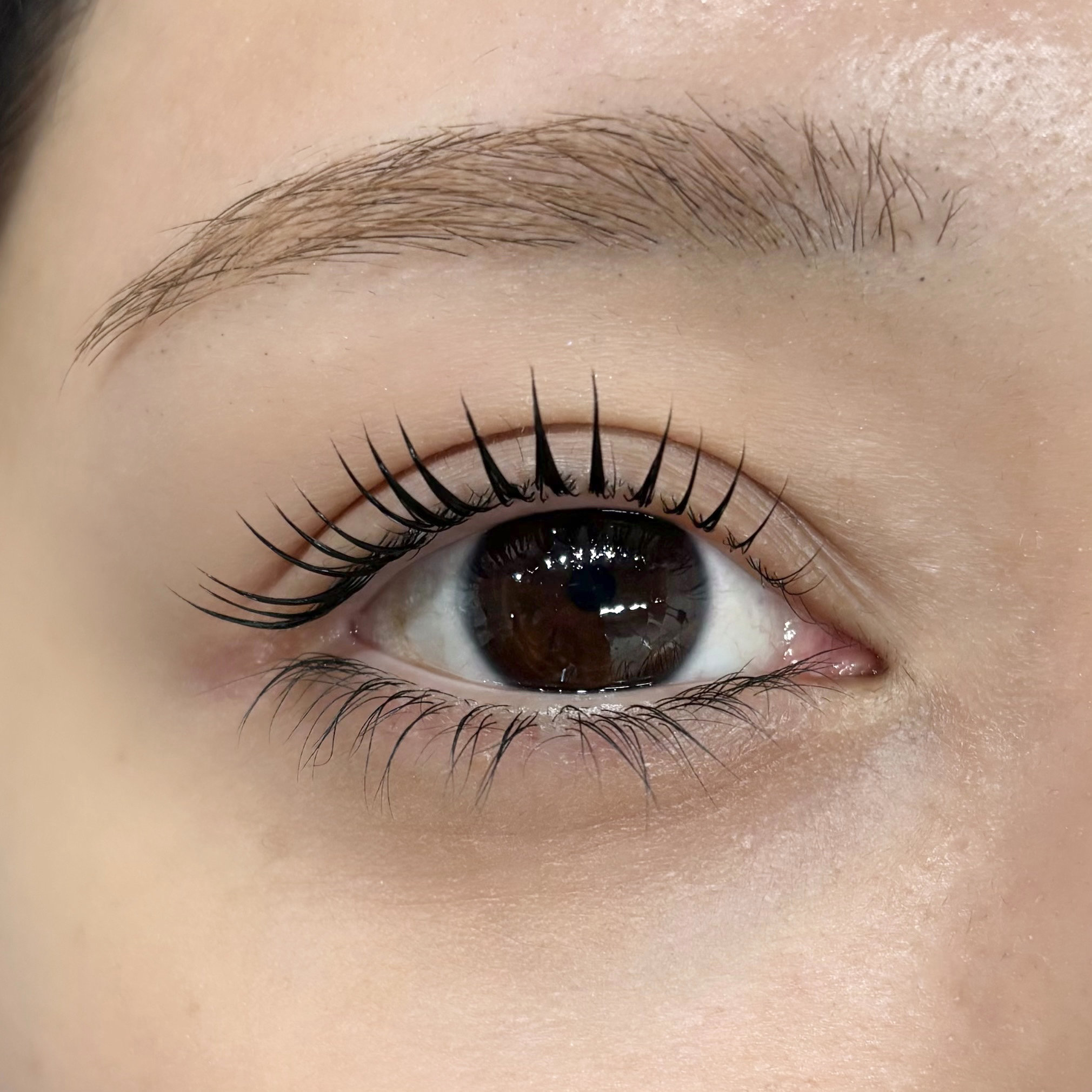 seika_eyelash