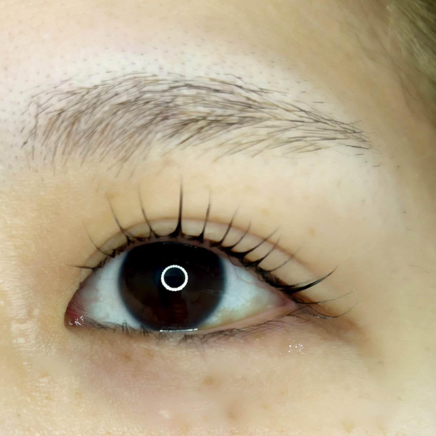 Eyelash_Salon_Maila_401