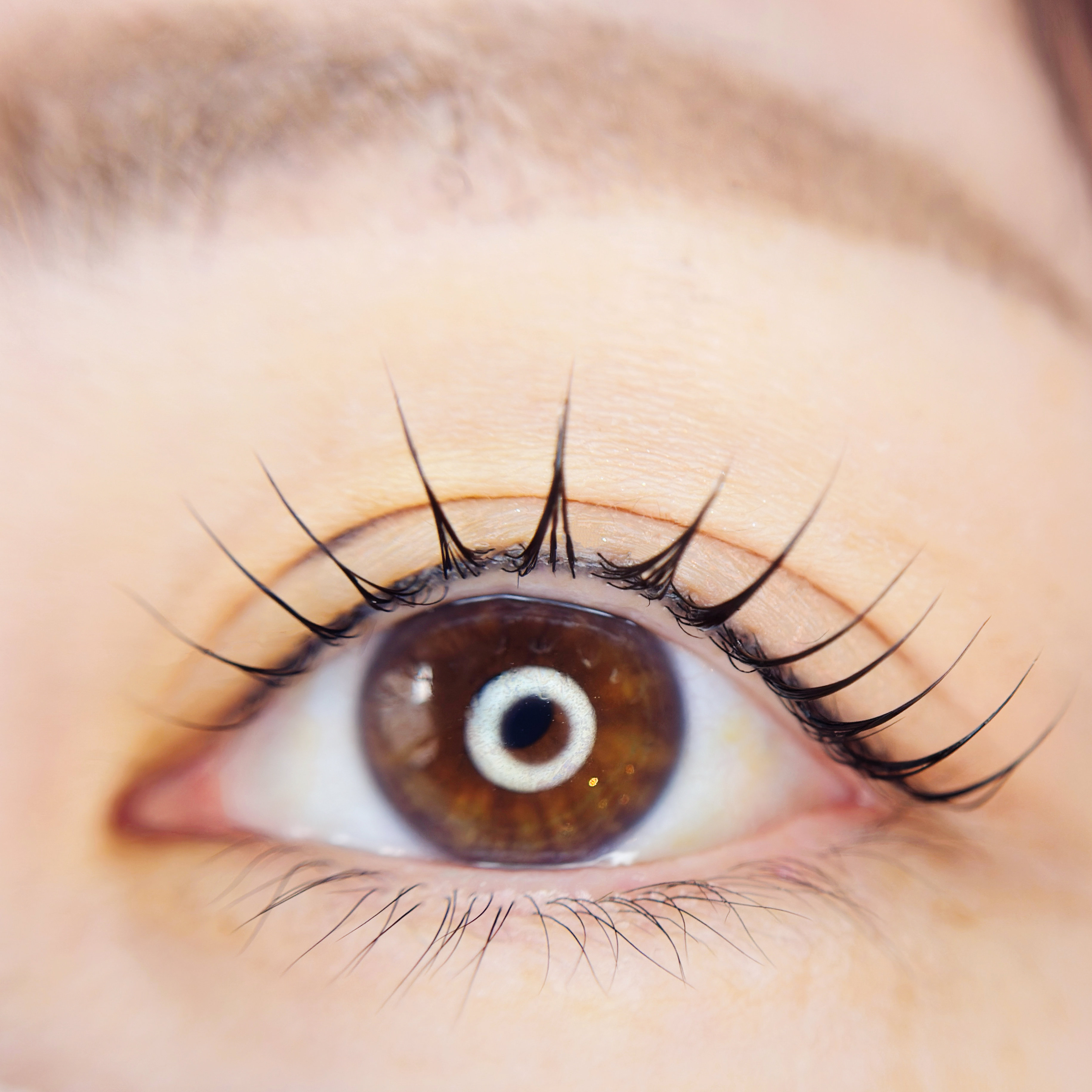 saaari___eyelash