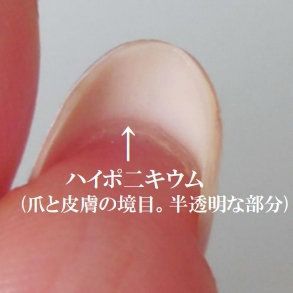 育爪ご検討様向け甘皮ケア（カウンセリング付）