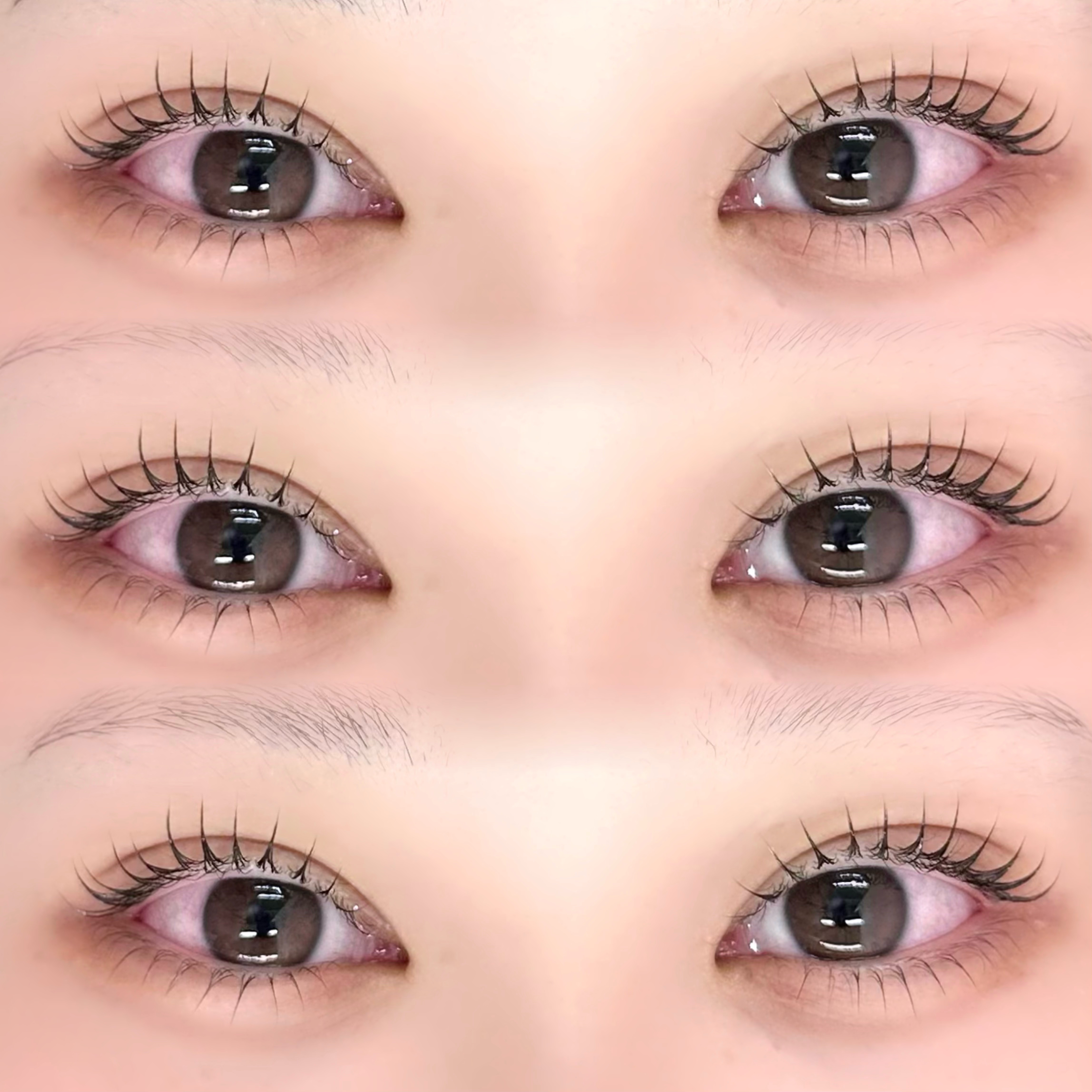 haruu7_daisy