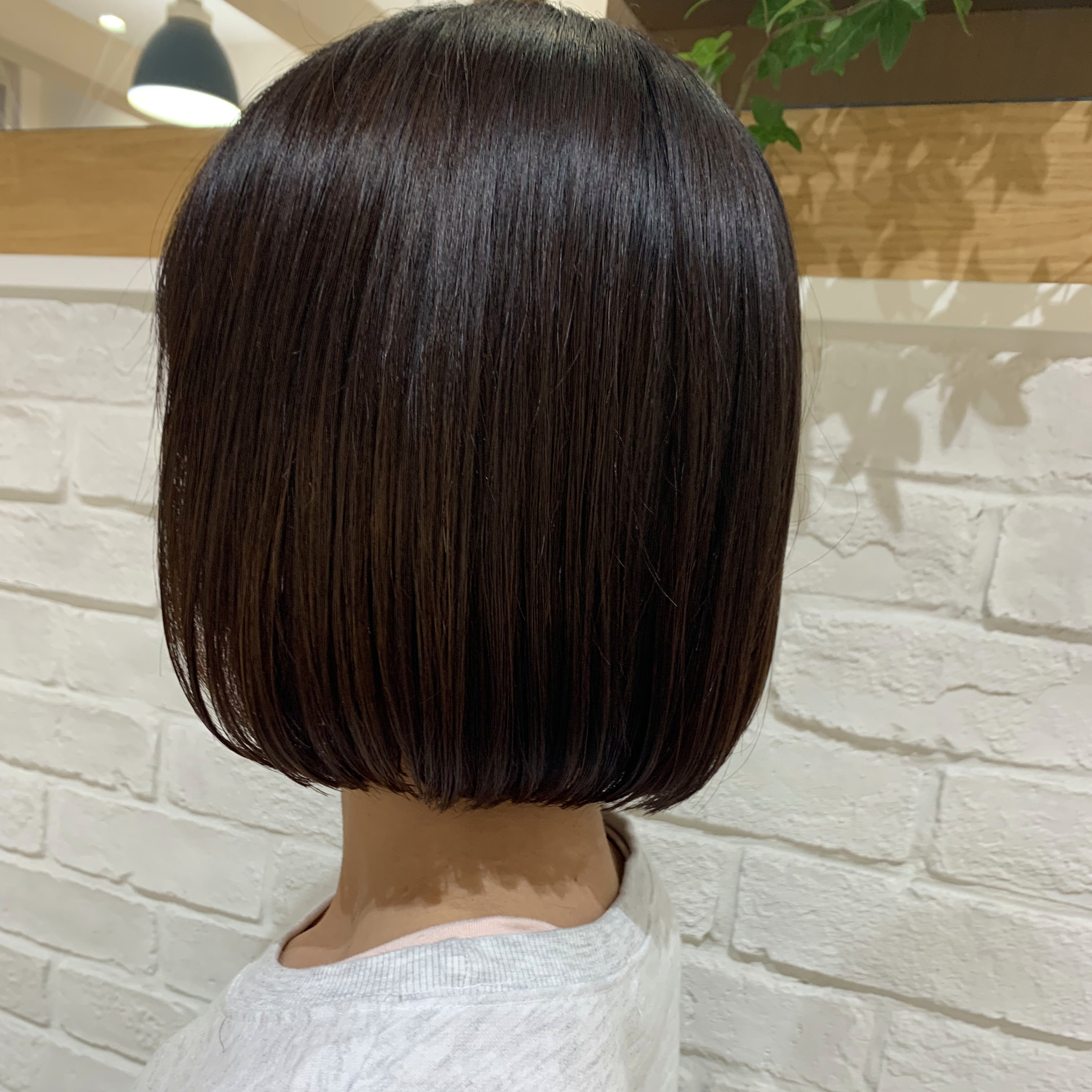 shk_62516