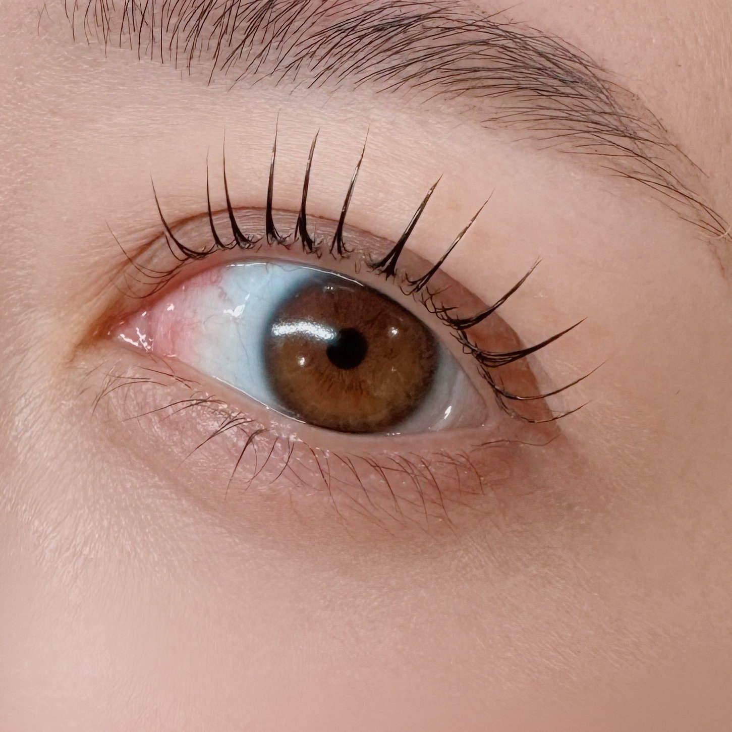 natari_.lash