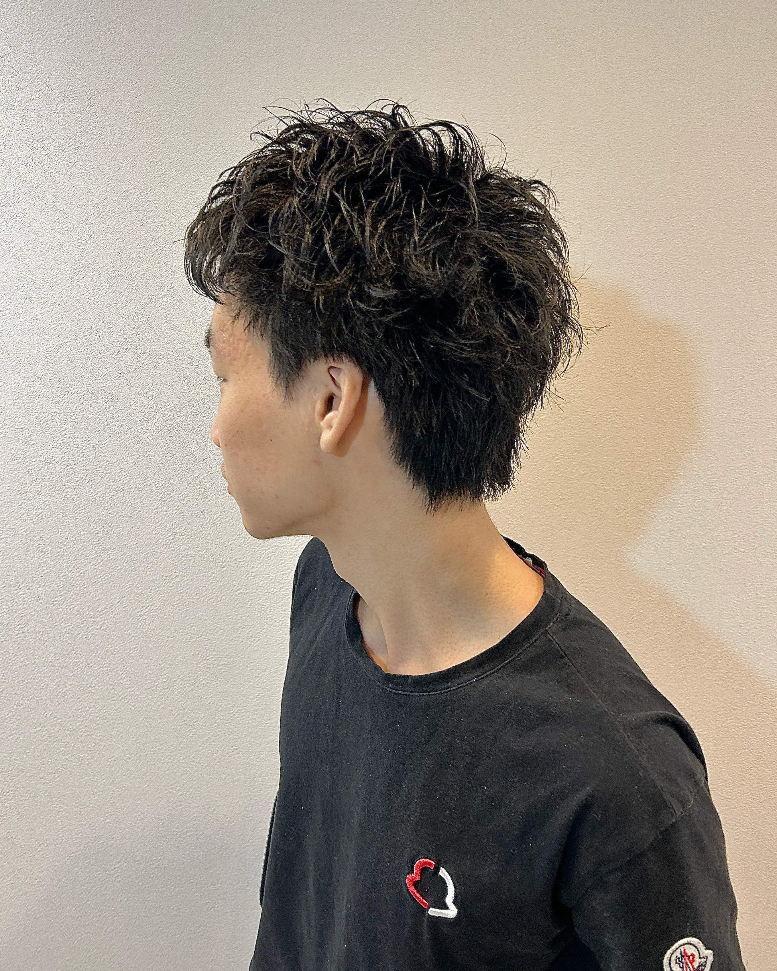 gen_noblesse